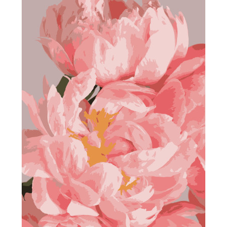Картина за номерами Ніжні півонії (PN1970) 40*50 см. 