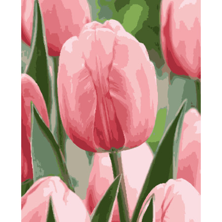 Картина за номерами Ніжна весна (PN1960) 40*50 см. 