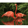 Картина за номерами Пара фламінго (PNX5747) 50*60 см.