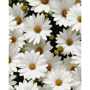 Картина за номерами Улюблені ромашки (PN7050) 40*50 см. (PNX7050) 50*60 см. 