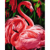 Картина за номерами Фламінго (PNX5740) 50*60 см.