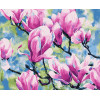 Картина за номерами Магнолія (PN3030) 40*50 см. 