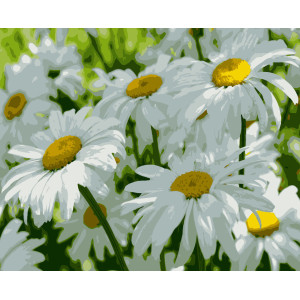 Картина за номерами Ромашки (PNХ7151) 50*60 см.