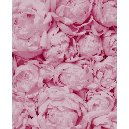 Картина за номерами Ніжність (PN5103) 40*50 см. 