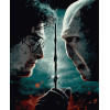 Картина за номерами Гаррі Поттер. Протистояння (PNX9000) 50*60 см.