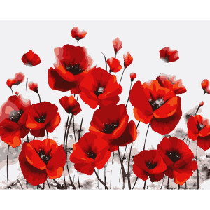 Картина по номерам Маки (PN6505) 40*50 см. 