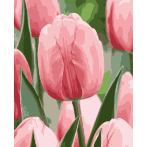 Картина за номерами Ніжна весна (PNX1960) 50*60 см.  