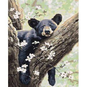 Картина за номерами Ведмедик (PNX5783) 50*60 см. 