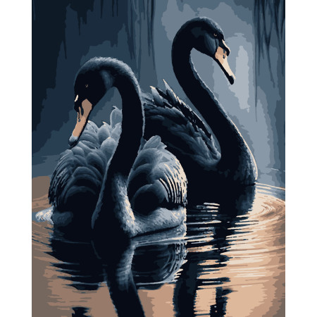 Картина за номерами Чорні лебеді (PN0745) 40*50 см. 