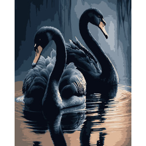 Картина за номерами Чорні лебеді (PNX0745) 50*60 см.