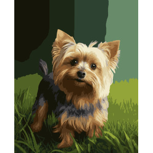 Картина за номерами Йорк (PNX4081) 50*60 см.