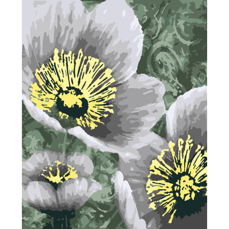 Картина за номерами Квіти (з золотою фарбою) (PN3303) 40*50 см.