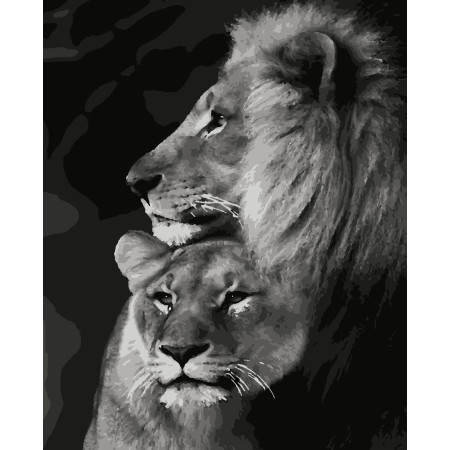 Картина за номерами Пара левів (PNX4204) 50*60 см.