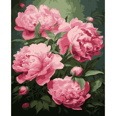 Картина за номерами Півонії (PN1988) 40*50 см.